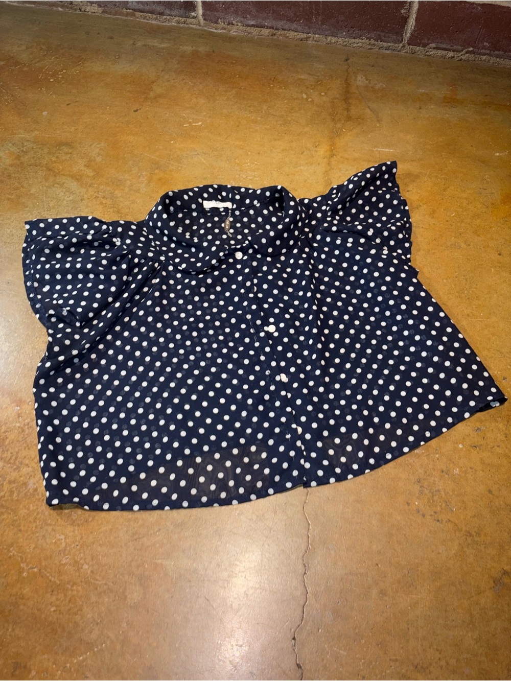 Ali & Kris Navy and White Polka Dot Flutter Sleeve Button-Front Blouse